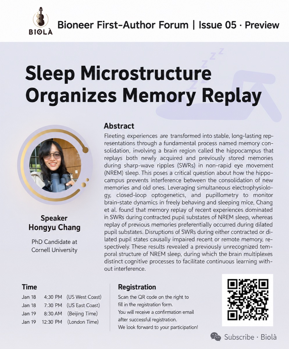 Sleep Microstructure Organizes Memory Replay event poster