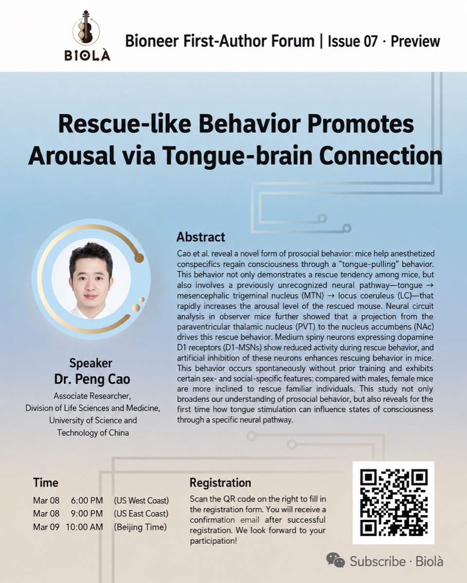 Rescue-like Behavior Promotes Arousal via Tongue–Brain Connection event poster